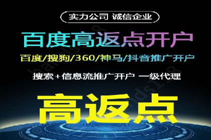 百度推广费用投入与转化率提升的经典案例